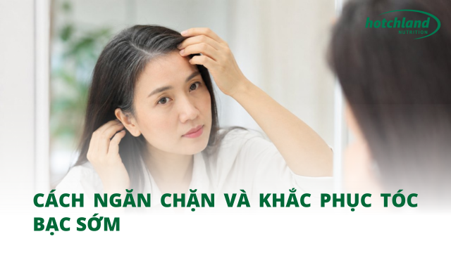 Cách ngăn chặn và khắc phục tóc bạc sớm