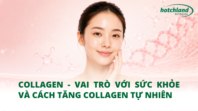 Collagen - Vai trò với sức khỏe và cách tăng Collagen tự nhiên