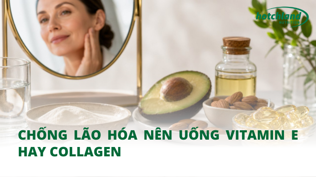 Chống lão hóa nên uống Vitamin E hay Collagen