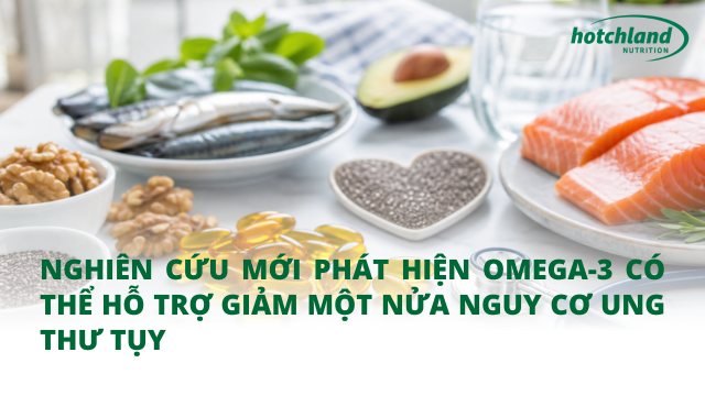 Nghiên cứu mới phát hiện omega-3 có thể hỗ trợ giảm một nửa nguy cơ ung thư tụy