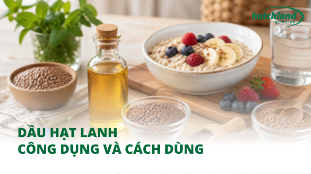 Dầu hạt lanh - Công dụng và cách dùng