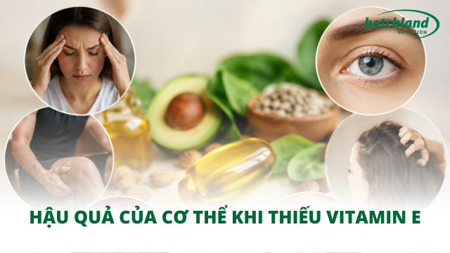 Hậu quả của cơ thể khi thiếu vitamin E
