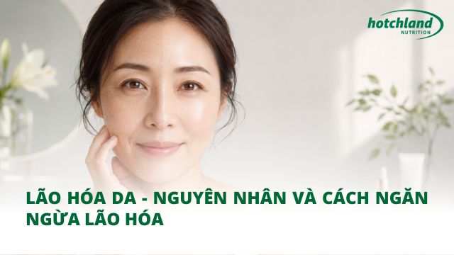 Lão hóa da - Nguyên nhân và cách ngăn ngừa lão hóa
