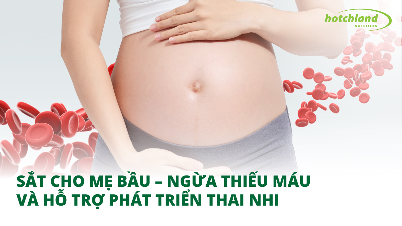 Sắt cho mẹ bầu – Ngừa thiếu máu và hỗ trợ phát triển thai nhi