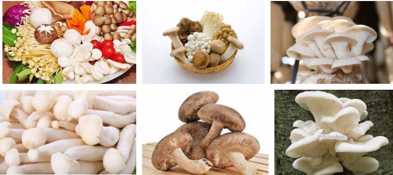 Các Loại Thực Phẩm Tốt Cho Xương Khớp Chắc Khỏe Hơn