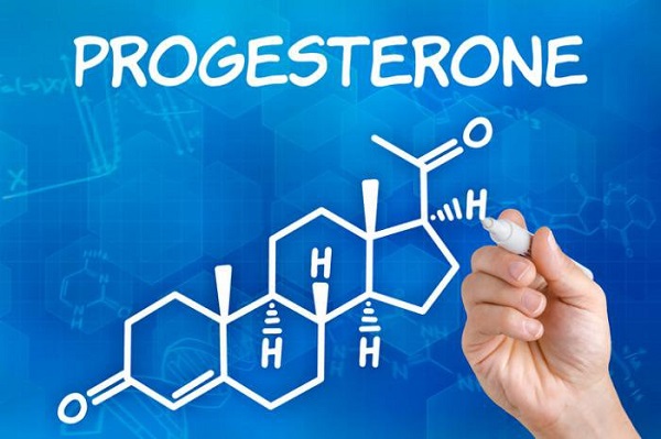 Minh hoạ về Progesterone