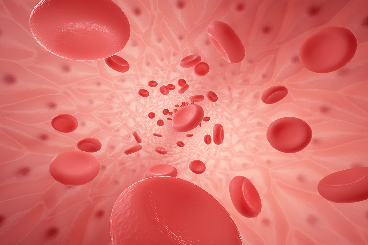 Vitamin B12 – Hỗ trợ thần kinh và tạo hồng cầu