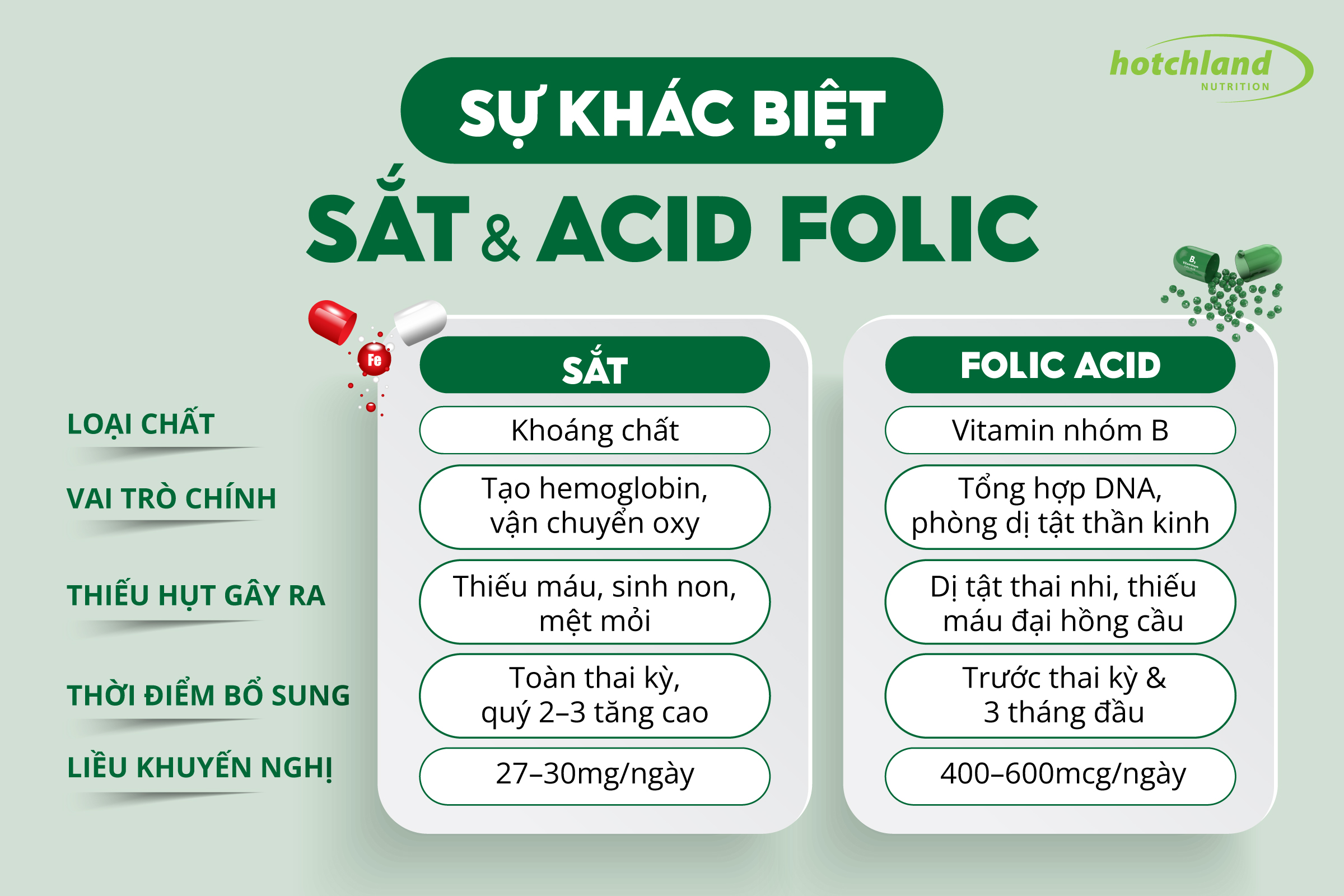 Sự khác biệt giữa sắt và axit folic trong thai kỳ – vai trò, liều lượng và thời điểm bổ sung