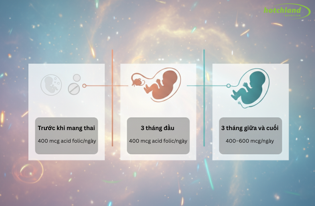 Liều lượng acid folic cho mẹ bầu