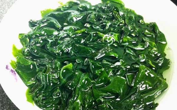 Tảo xoắn cũng là loại thưc phẩm giàu protein thực vật
