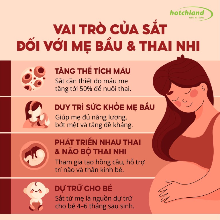 Vai trò của sắt đối với mẹ bầu và thai nhi