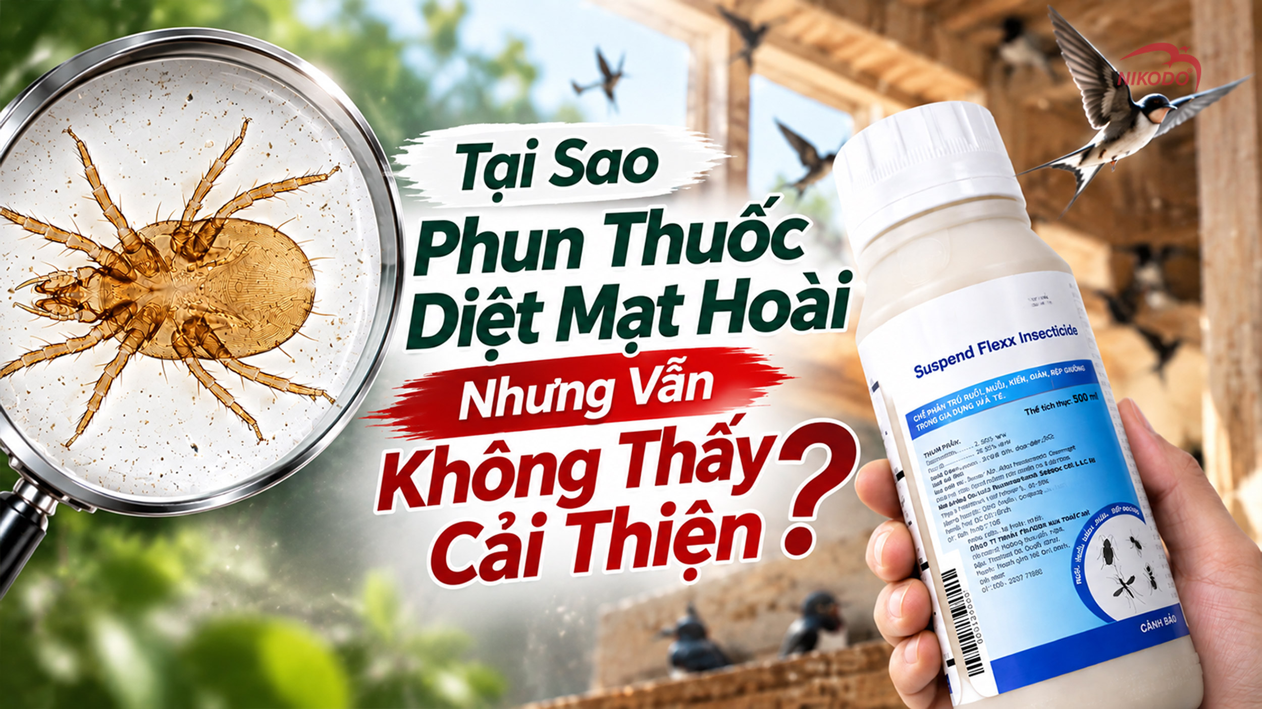 Tại Sao Phun Thuốc Diệt Mạt Hoài Nhưng Vẫn Không Thấy Cải Thiện?