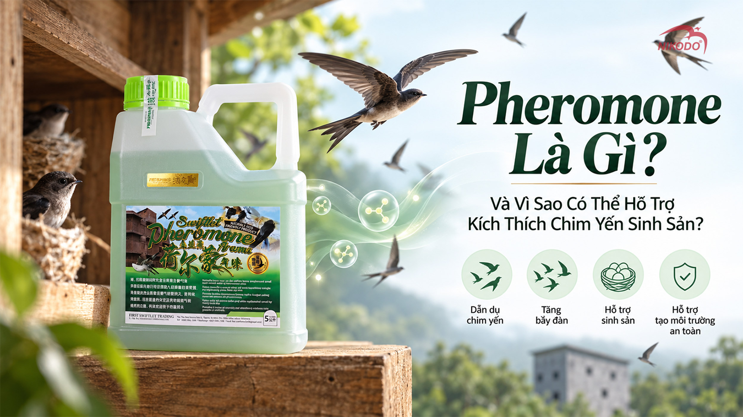 Pheromone Là Gì Và Vì Sao Có Thể Hỗ Trợ Kích Thích Chim Yến Sinh Sản?