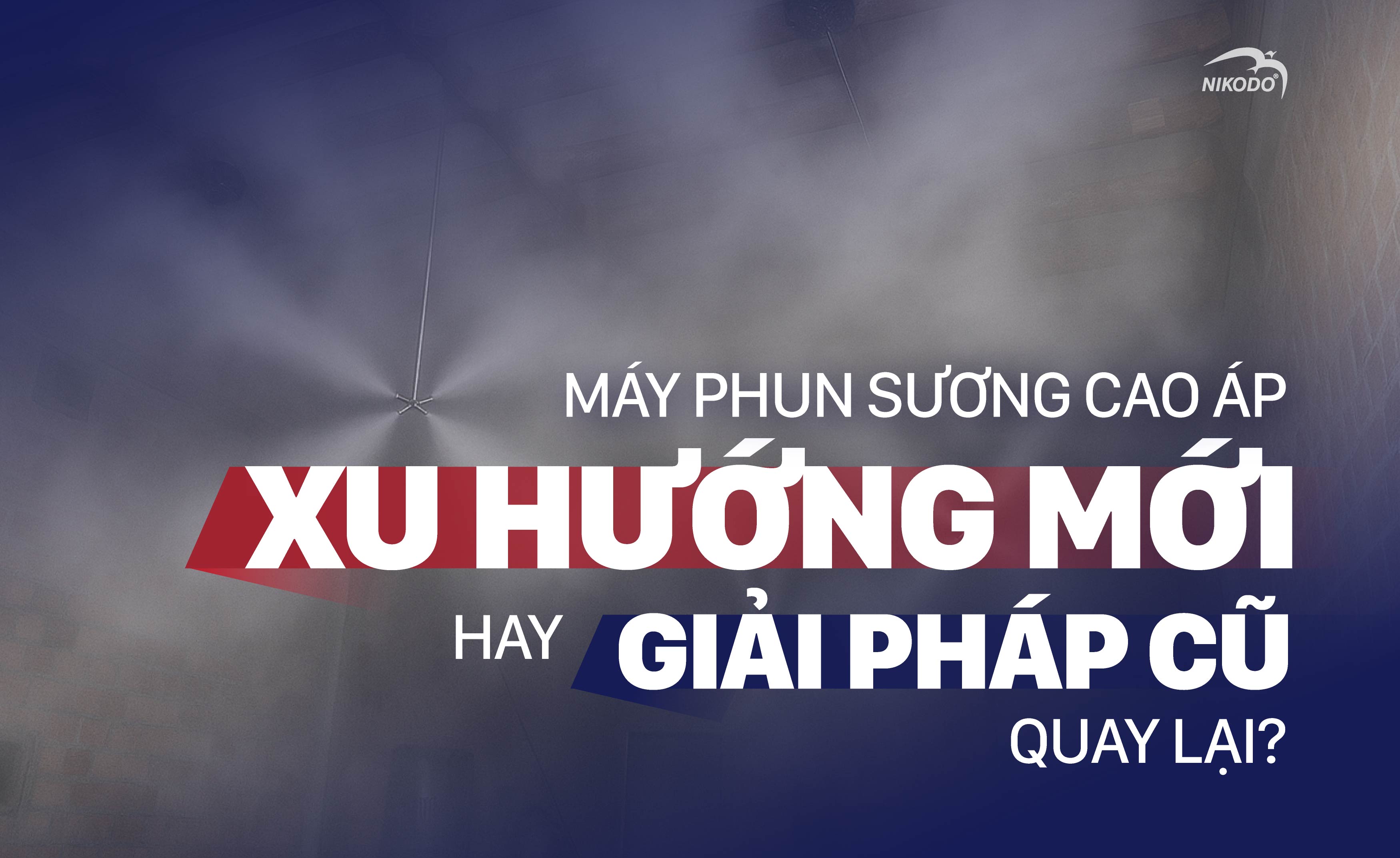 MÁY PHUN SƯƠNG CAO ÁP TRONG NHÀ NUÔI YẾN: XU HƯỚNG MỚI HAY GIẢI PHÁP CŨ QUAY LẠI?