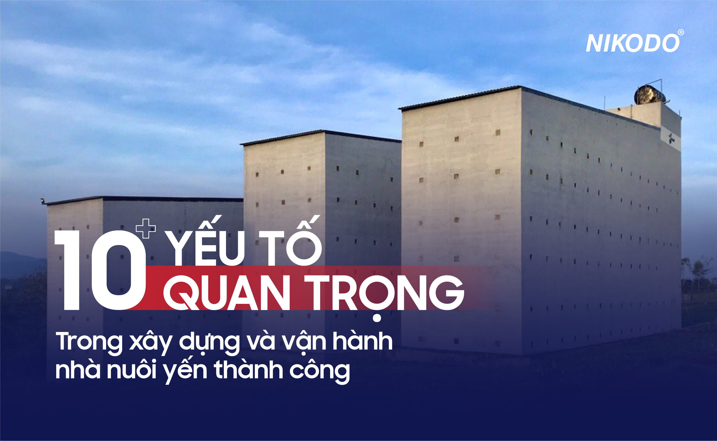 10+ YẾU TỐ QUAN TRỌNG TRONG XÂY DỰNG VÀ VẬN HÀNH NHÀ NUÔI YẾN THÀNH CÔNG