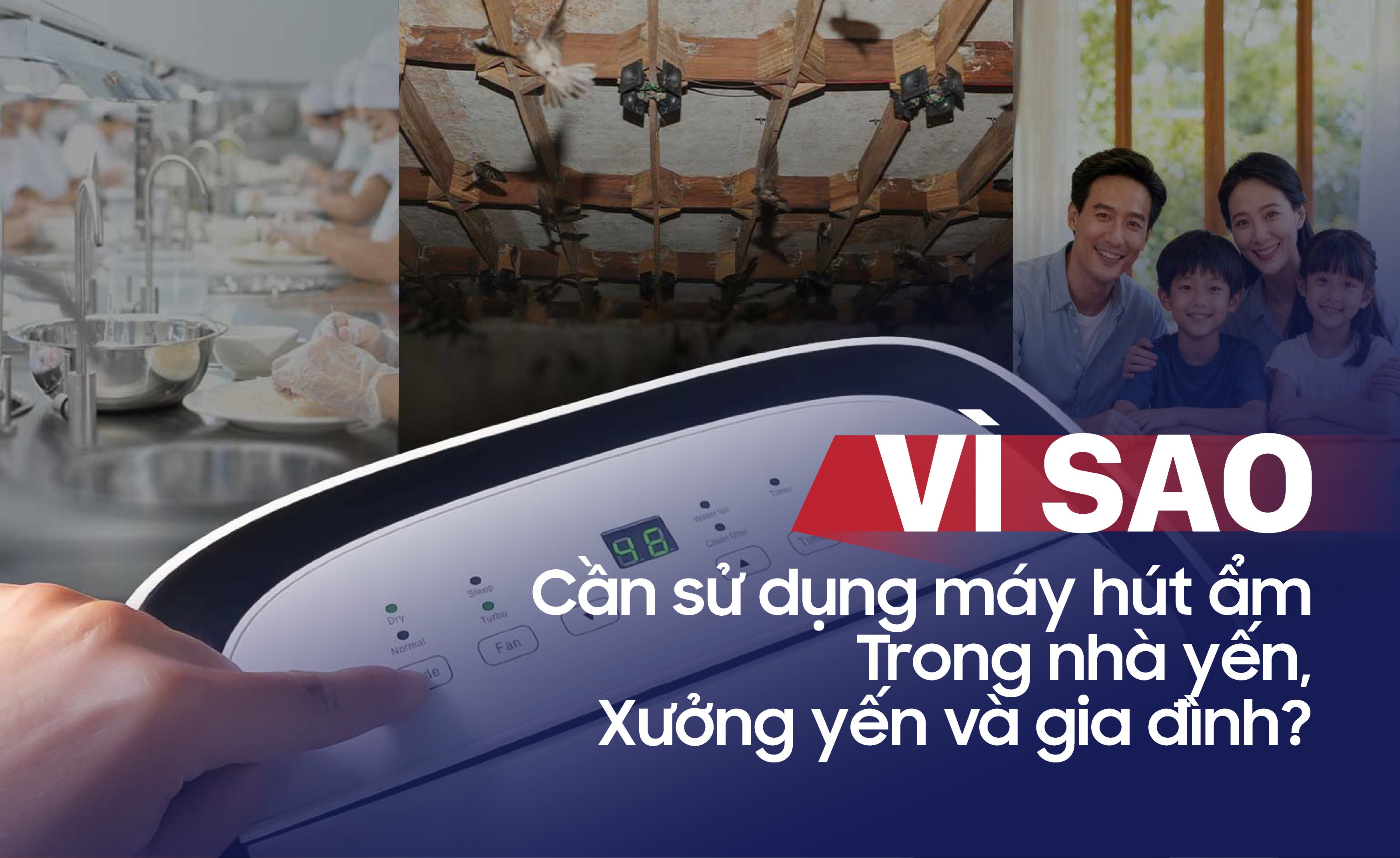 Vì Sao Cần Sử Dụng Máy Hút Ẩm Trong Nhà Yến, Xưởng Yến Và Gia Đình?
