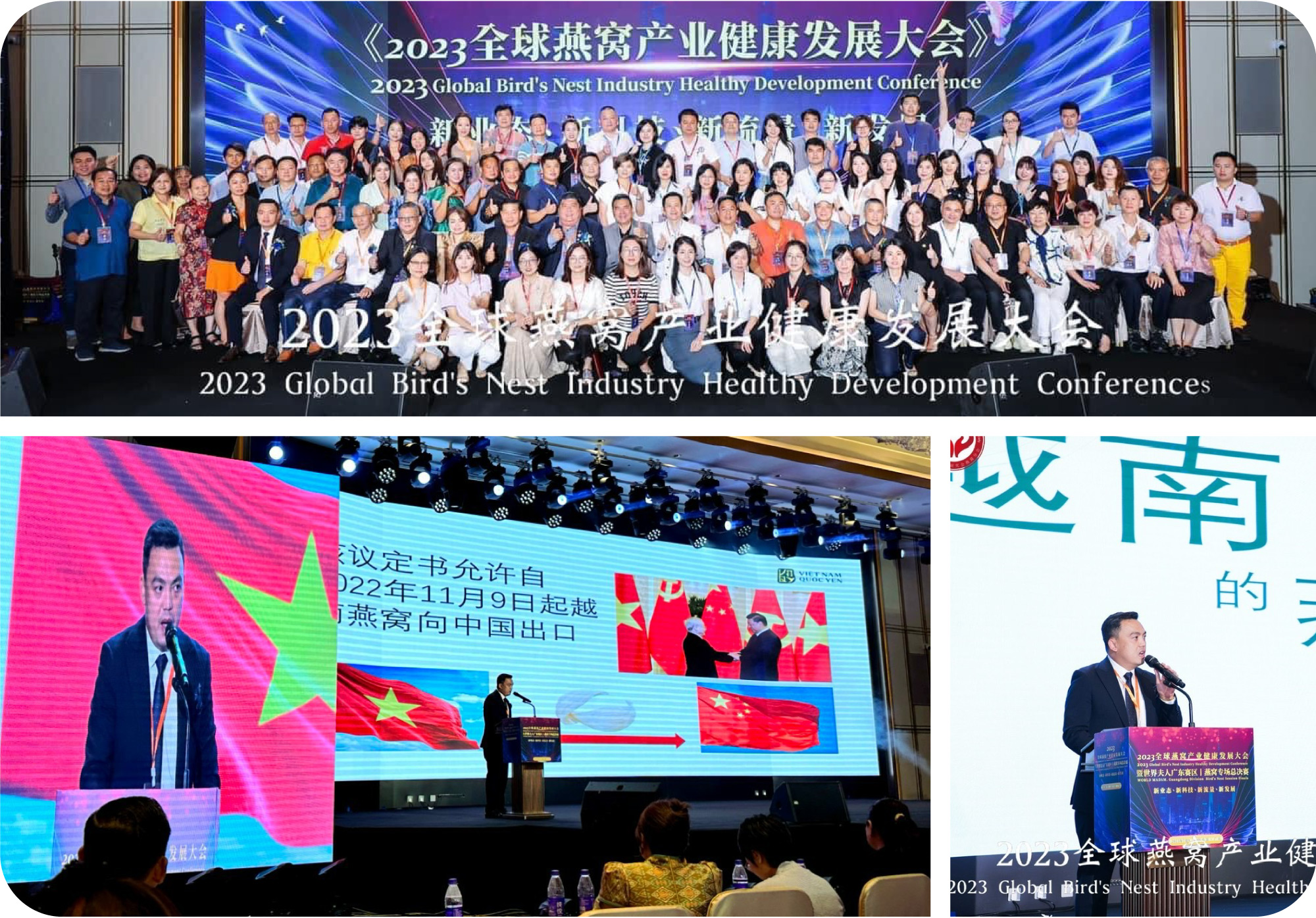 Đại diện phát biểu tại hội nghị ‘’Phát triển bền vững ngành yến sào toàn cầu 2023’’ tại Trung Quốc