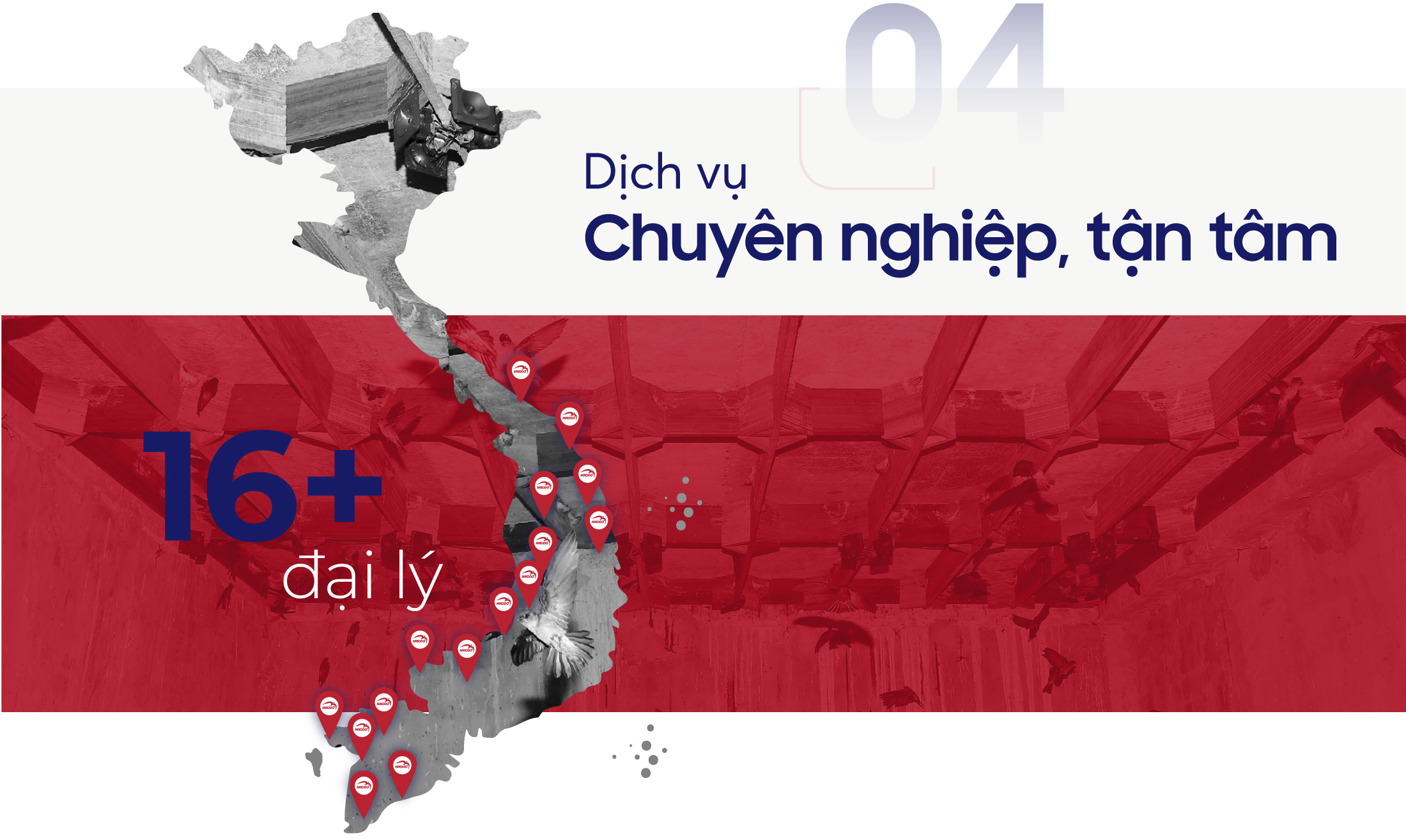 Các đại lý của Nikodo ở Việt Nam