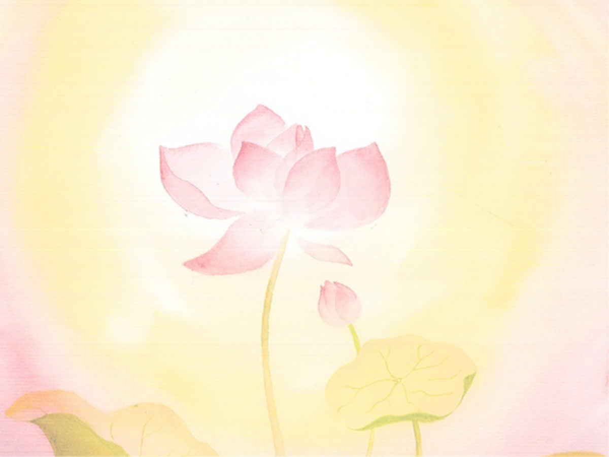 TRỞ THÀNH GIÁO VIÊN / TÌNH NGUYỆN VIÊN