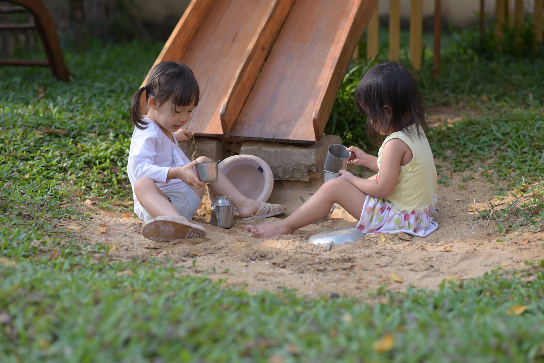 CHƠI TỰ DO - Phần 1: Vai trò sống còn của chơi trong thời thơ ấu