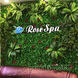BACKDROP CỎ, VÁCH CỎ NHÂN TẠO GẮN CHỮ NỔI CỰC ĐẸP