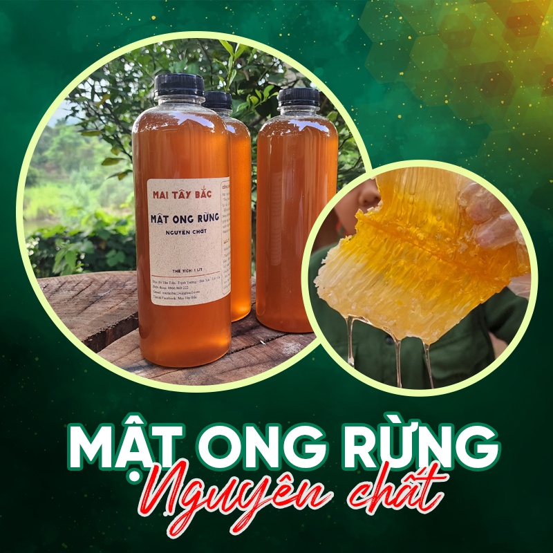 MẬT ONG RỪNG NGUYÊN CHẤT