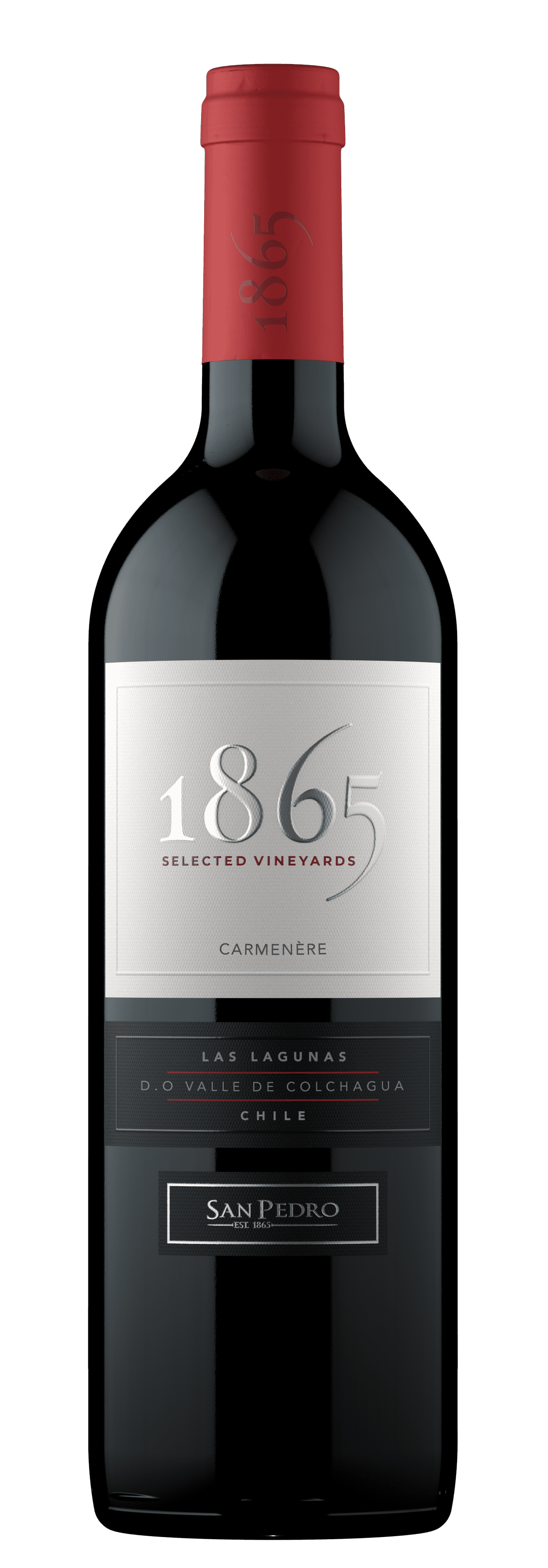 1865 SELECTED VINEYARDS CAMENERE,Camenere