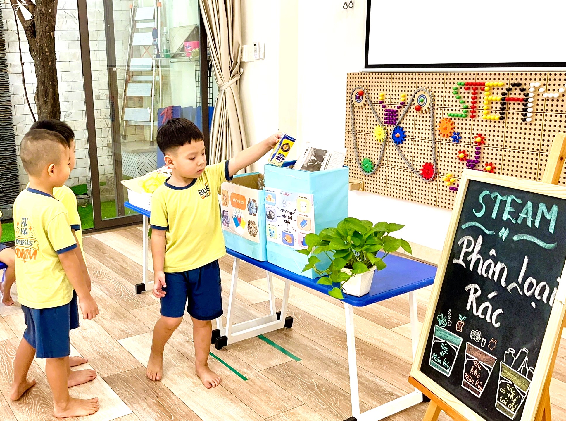 ☘️STEAM  ☘️STEAM