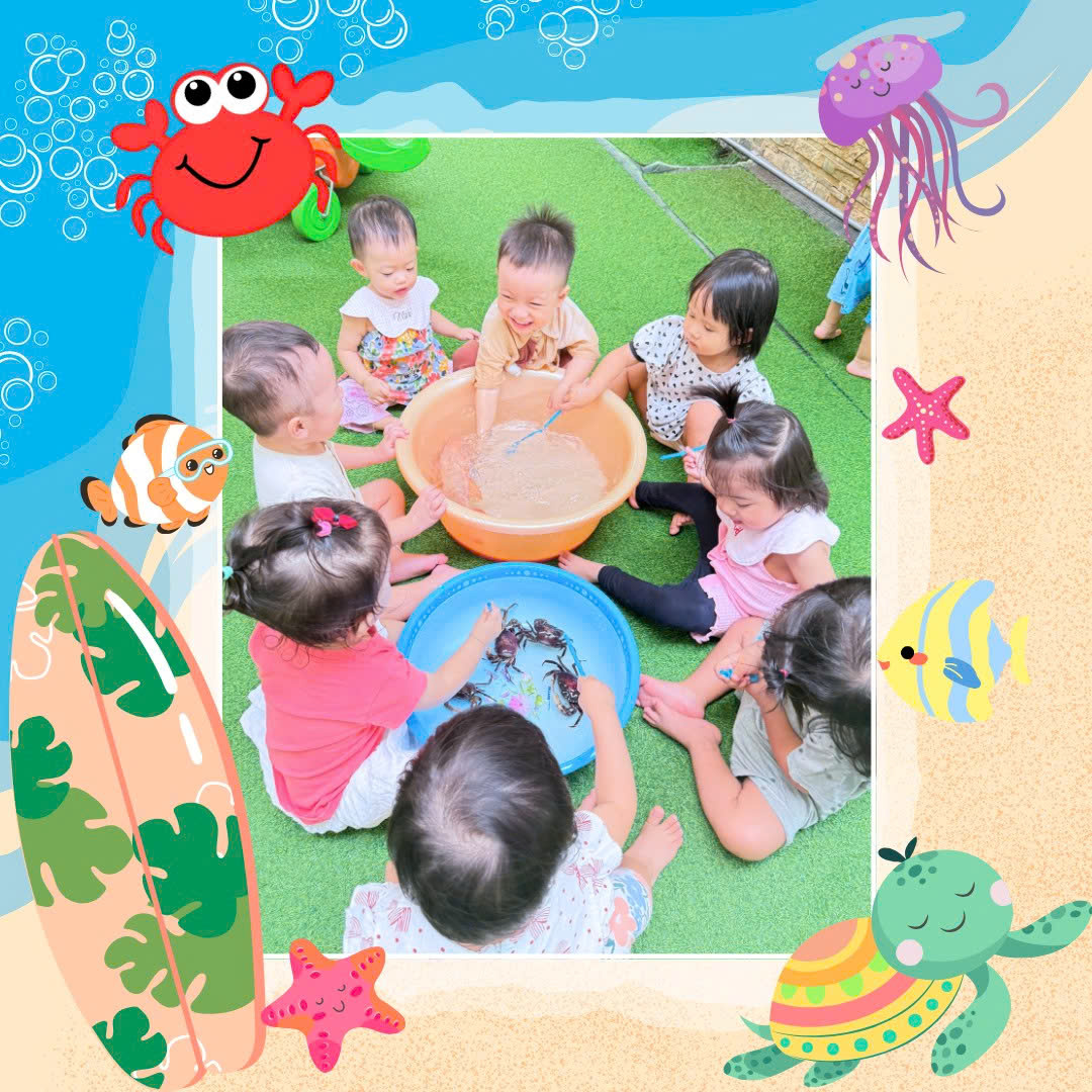 🎯 Quan Sát Vui Nhộn – Bé Nhận Biết Cá 🐟 và Cua 🦀 🎯 Quan Sát Vui Nhộn – Bé Nhận Biết Cá 🐟 và Cua 🦀