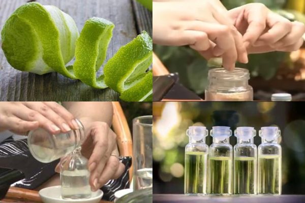 Tinh dầu bưởi đem lại lợi ích gì cho da và tóc? Cách làm tinh dầu bưởi đơn giản
