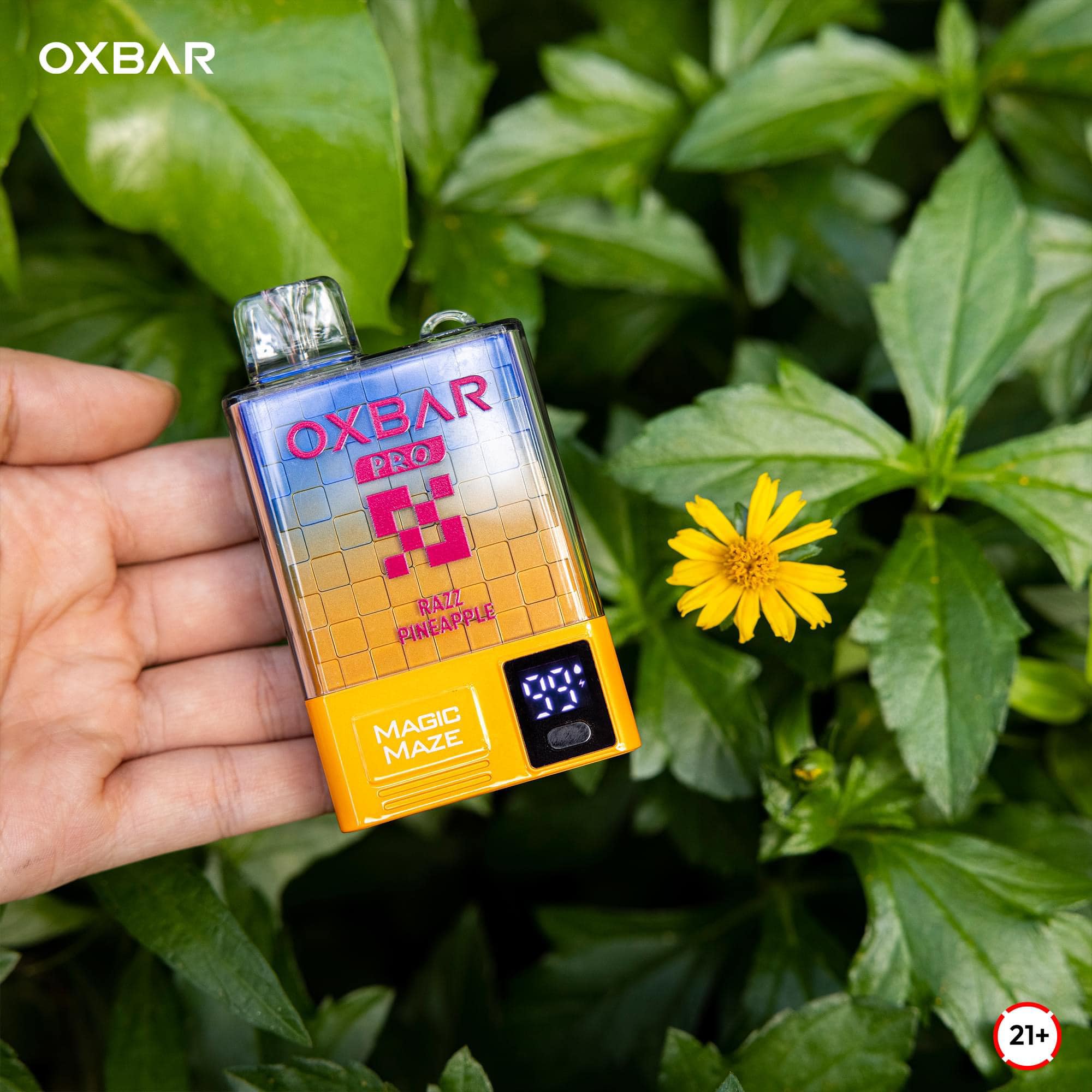 Oxbar Magic Maze Pro 10000 Hơi Mâm Xôi Dứa (50mg) – Pod 1 Lần