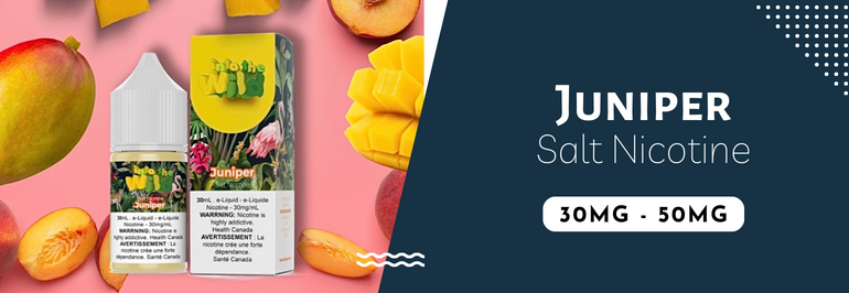 Into The Wild Salt Nic