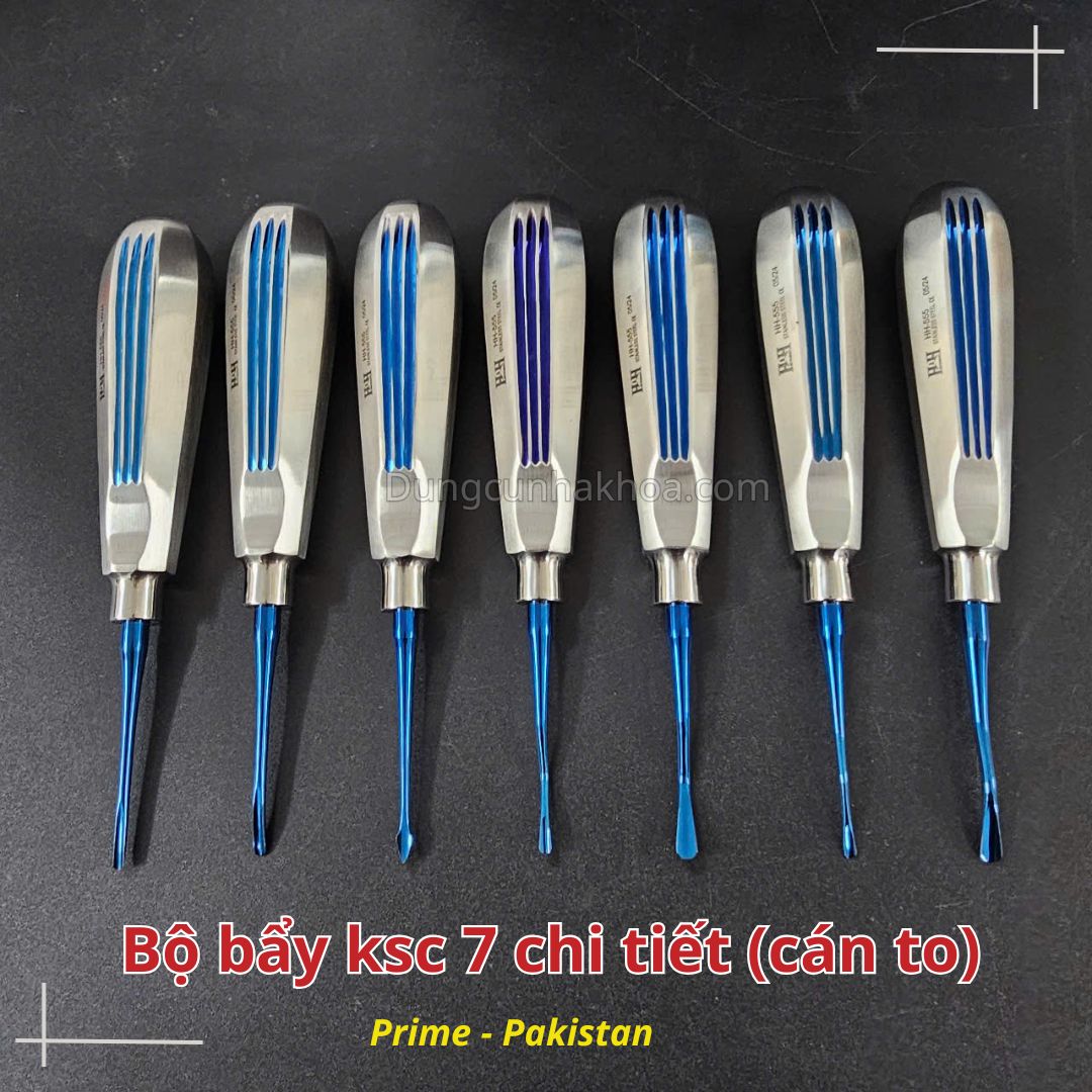 Bộ bẩy nhổ răng không sang chấn cán to 7 chi tiết