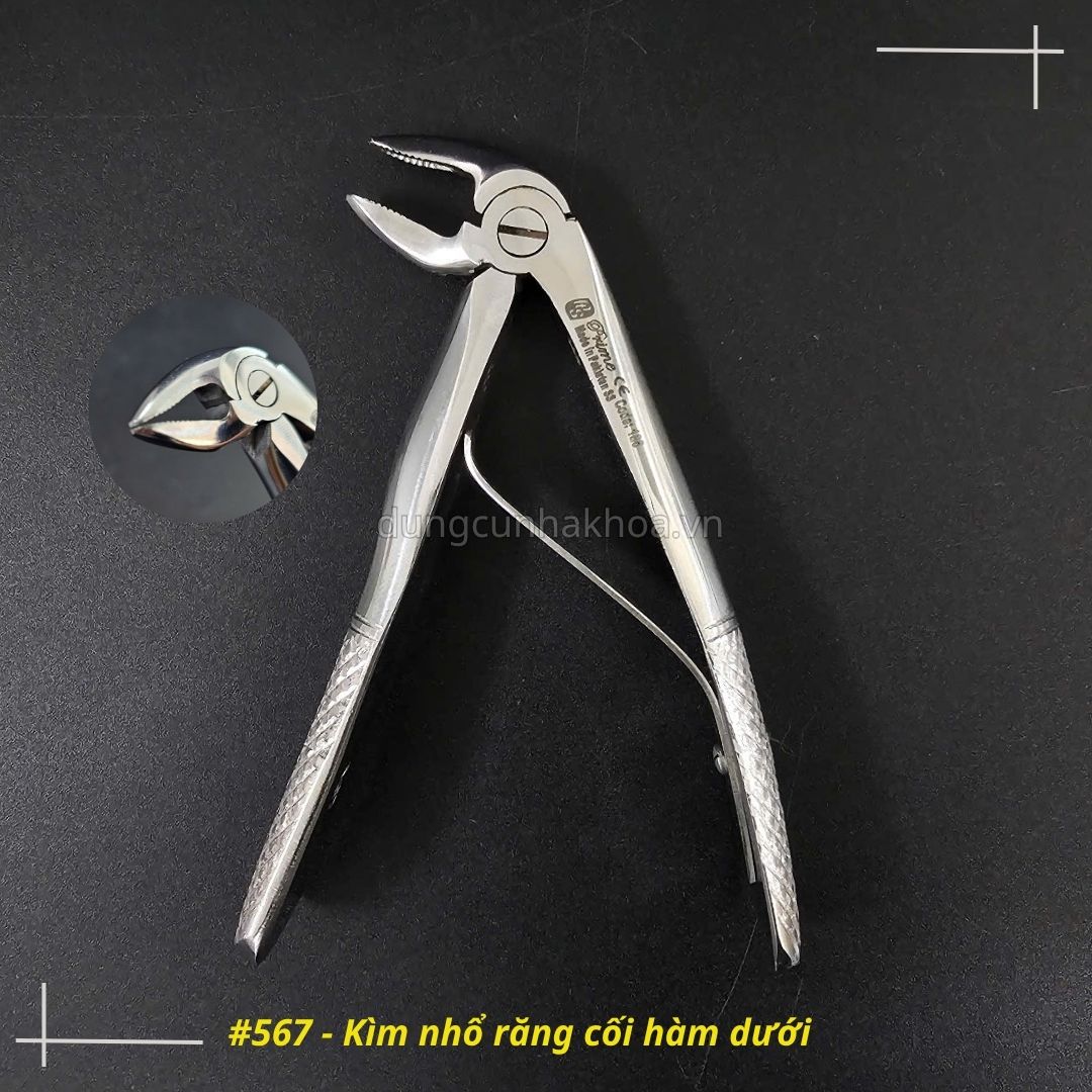 Kìm 566 - Kìm nhổ răng cối hàm dưới, kìm nhổ răng sữa, kìm nhổ răng trẻ em