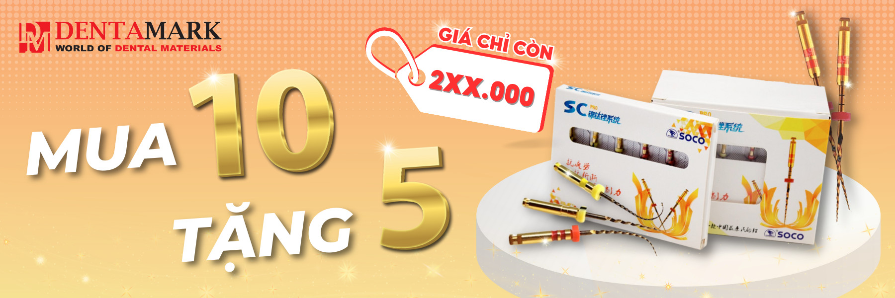 File dẻo Coxo