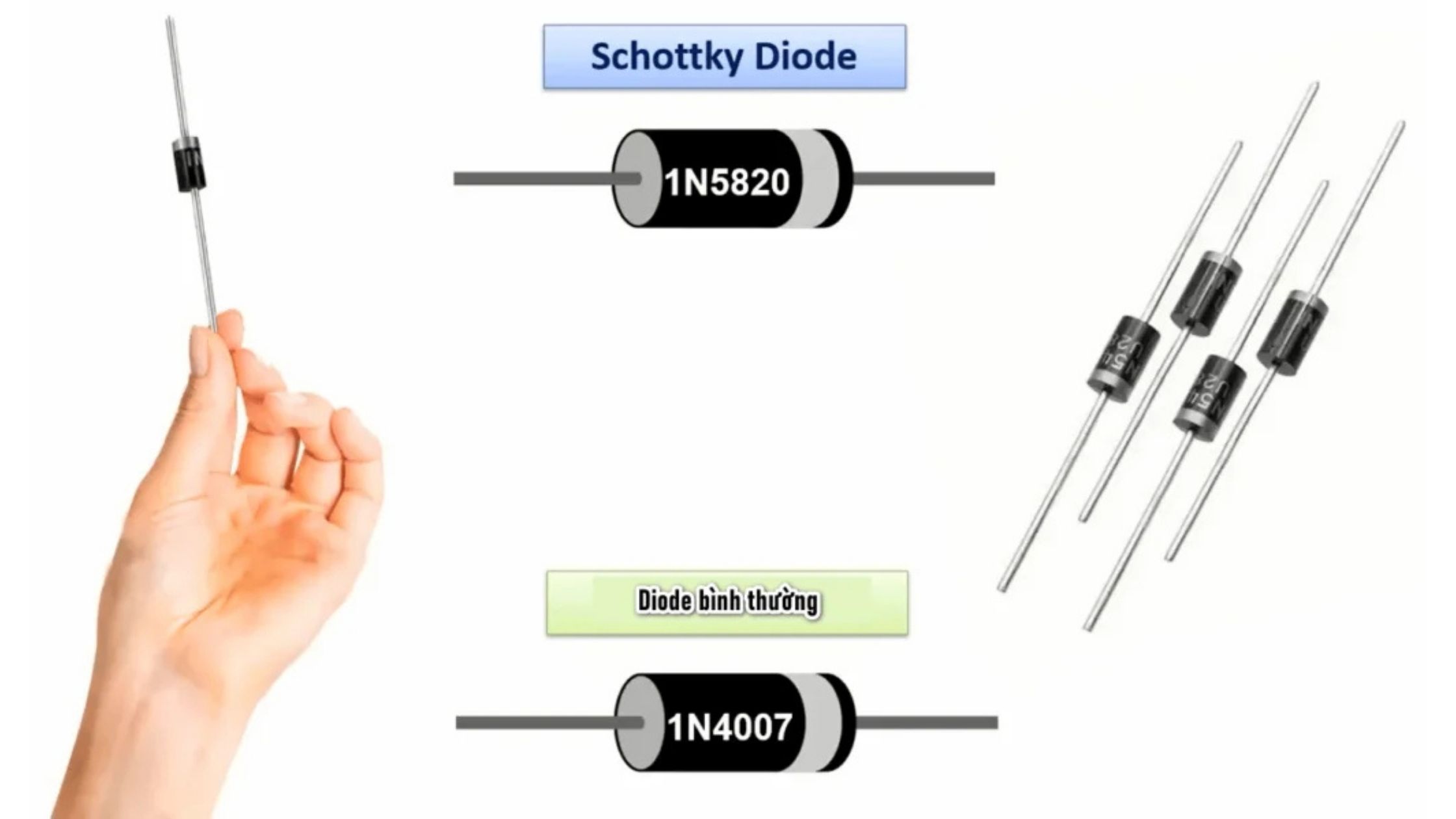 Diode tách sóng – Bí mật trong các mạch thu sóng radio, cảm biến RF