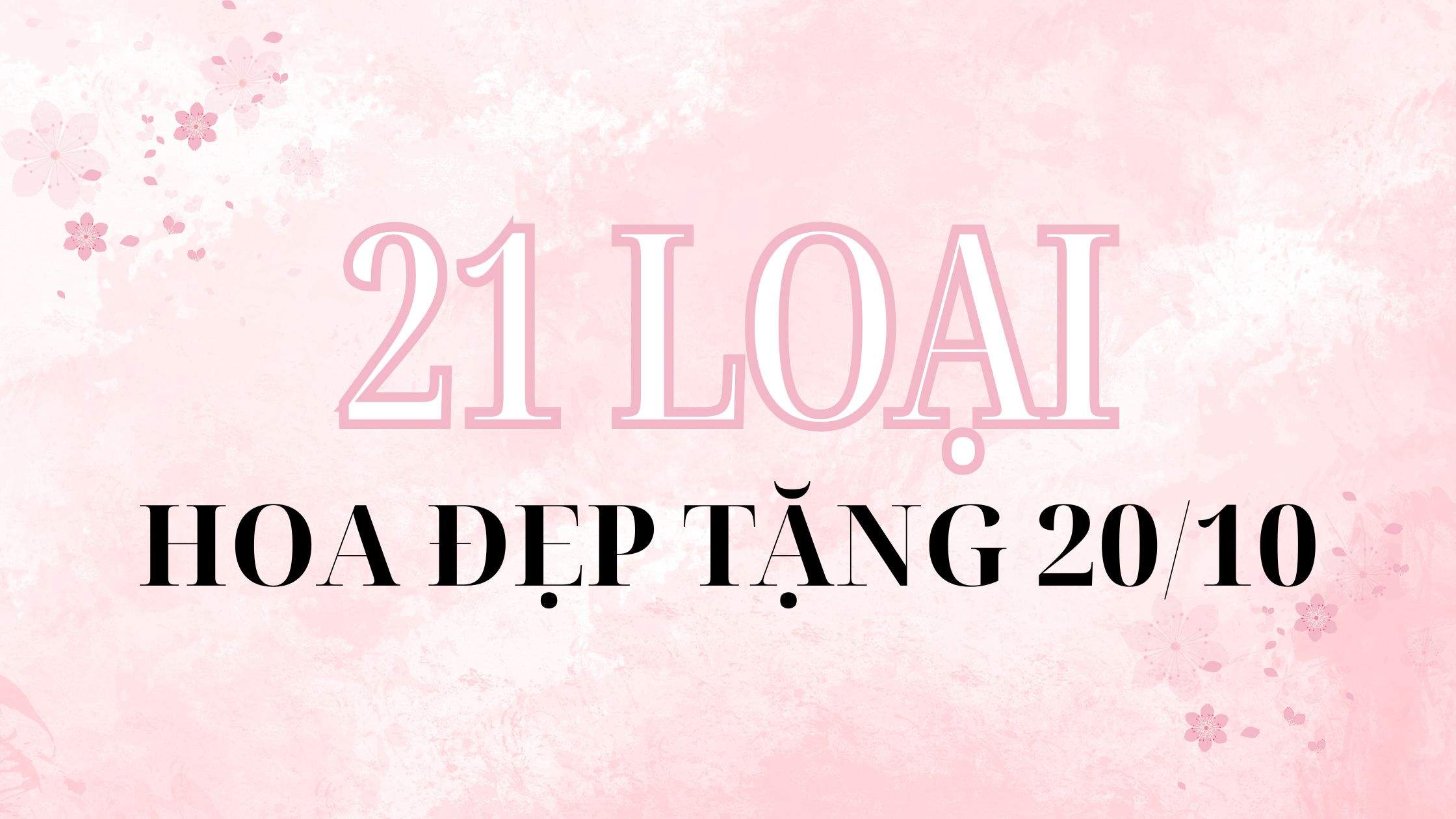 21 Loại Hoa Đẹp Tặng 20/10: Ý Nghĩa & Gợi Ý Chọn Nhanh 2025