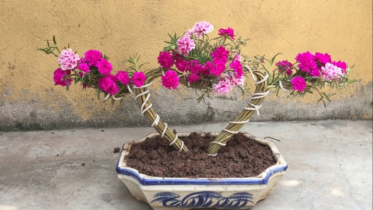 Uốn cong cây, uốn luôn trái tim crush bằng bonsai đỉnh cao!