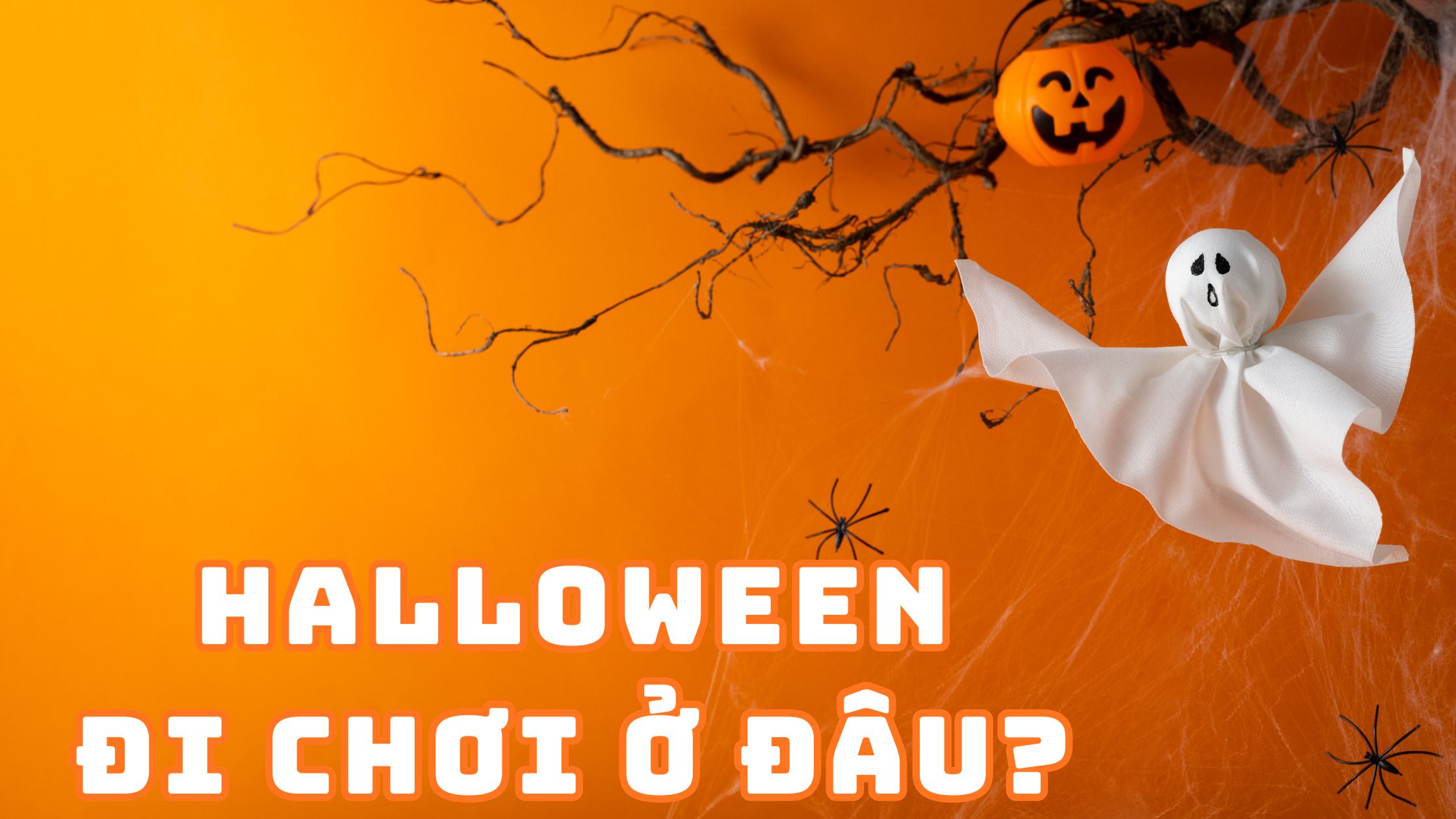 Halloween Đi Chơi Ở Đâu? 15 Địa Điểm “Quẩy” Chất Nhất 2025