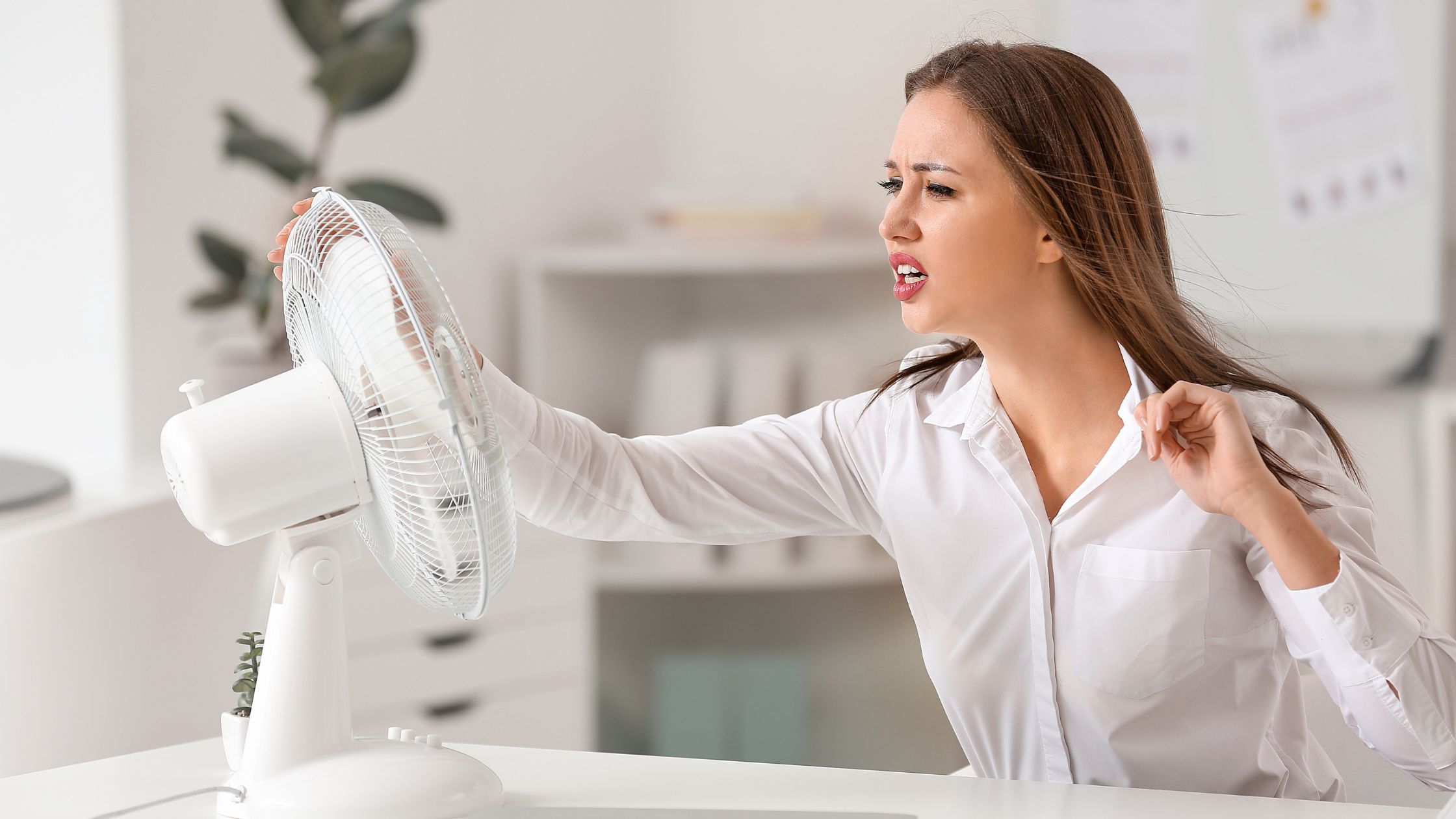 Nhận Quạt Từ Khách – Những Gì Cần Kiểm Trước Khi Báo Giá Sửa (Đừng Báo Ối Dồi Ôi)