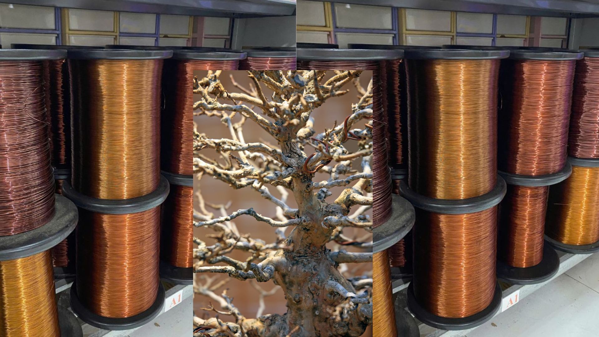 Dây nhôm là trợ thủ đắc lực cho người chơi cây kiểu “nhẹ nhàng mà hiệu quả”