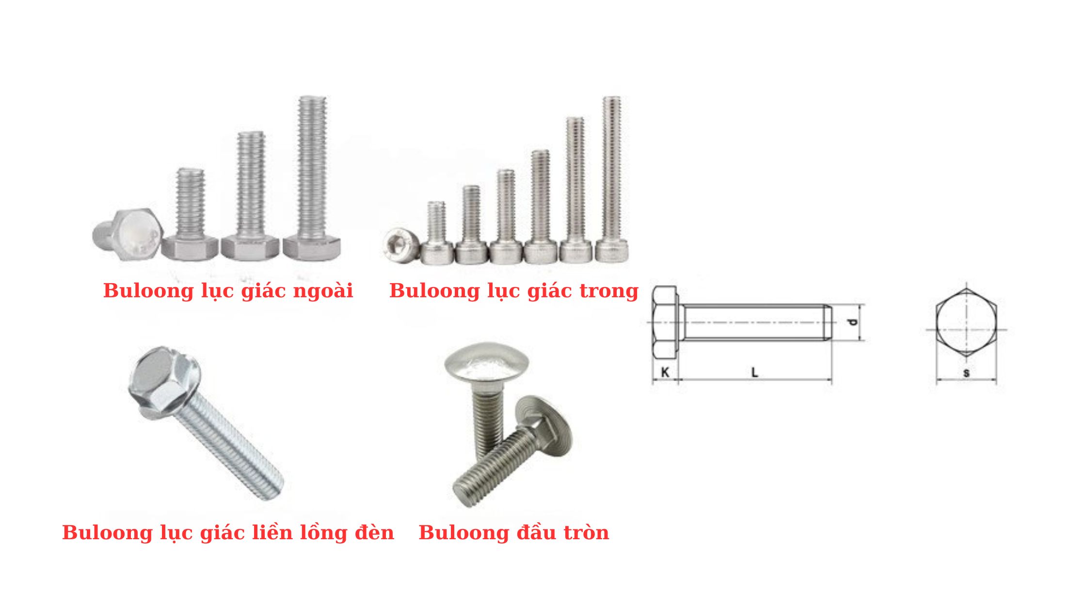 ổng hợp các loại bu lông phổ biến gồm: bu lông lục giác ngoài, bu lông lục giác trong, bu lông liền long đền và bu lông đầu tròn – phù hợp cho cơ khí, kết cấu thép, và điện công nghiệp.