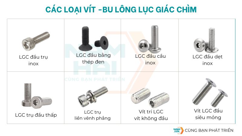Phân loại các dòng vít lục giác chìm (LGC) gồm đầu trụ, đầu cầu, đầu bằng, đầu phẳng – thích hợp trong cơ khí chính xác, thiết bị điện tử, và chế tạo khuôn.