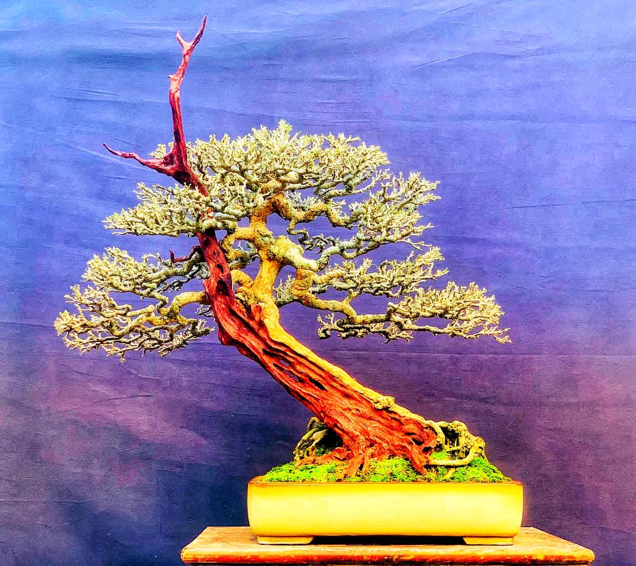 Dáng Xiêu Tuyệt Đẹp