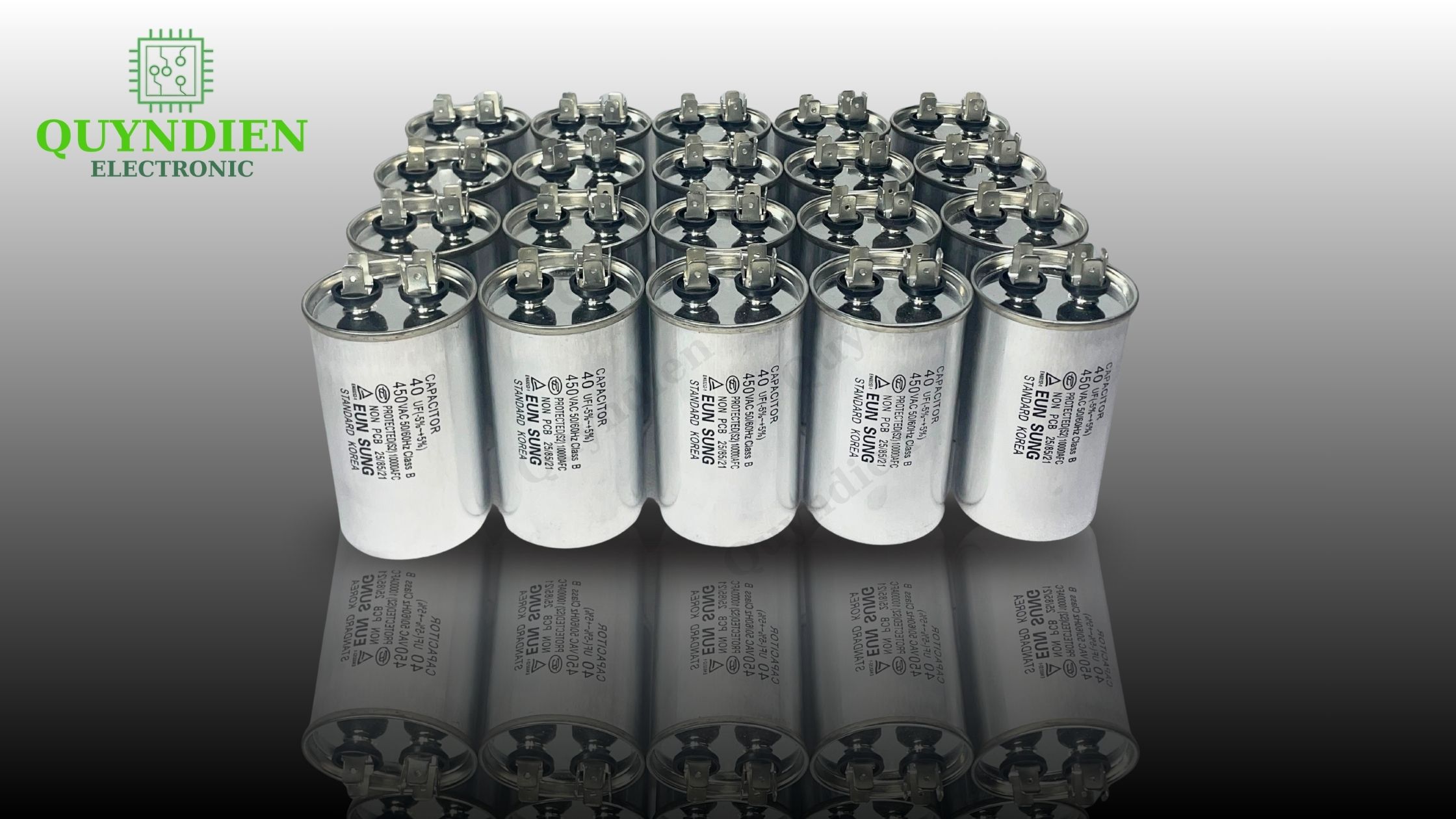 Quỳnh Diễn Electronic – cung cấp tụ điện EUN SUNG chất lượng cao