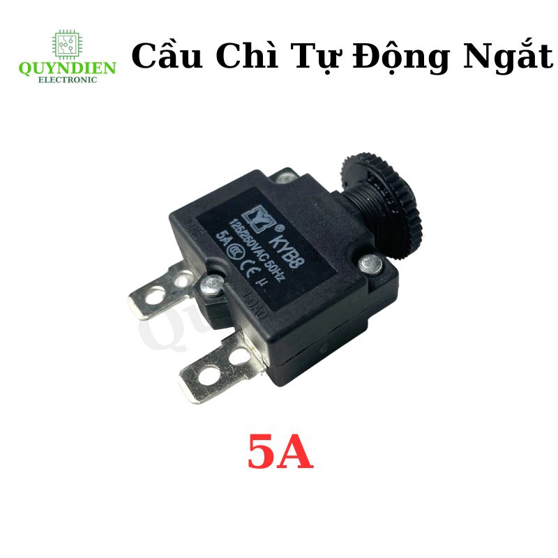 Relay Cầu Chì Tự Động Ngắt 5A