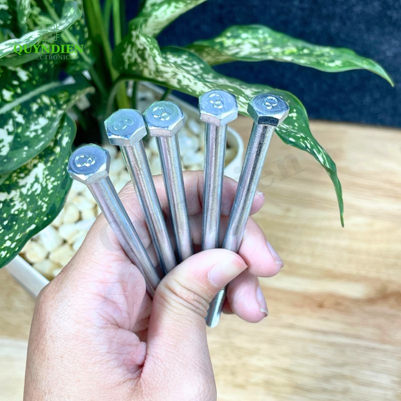 Ốc Vít M6x110mm Có Kèm Tán - Túi 100 Con