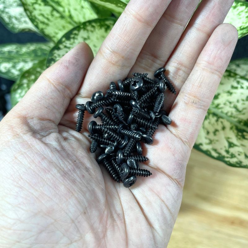 Ốc Vít Nhọn Đầu Tròn M3x10mm