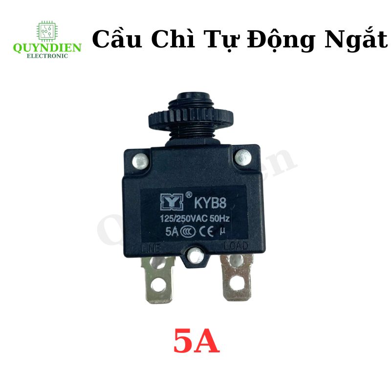 Relay Cầu Chì Tự Động Ngắt