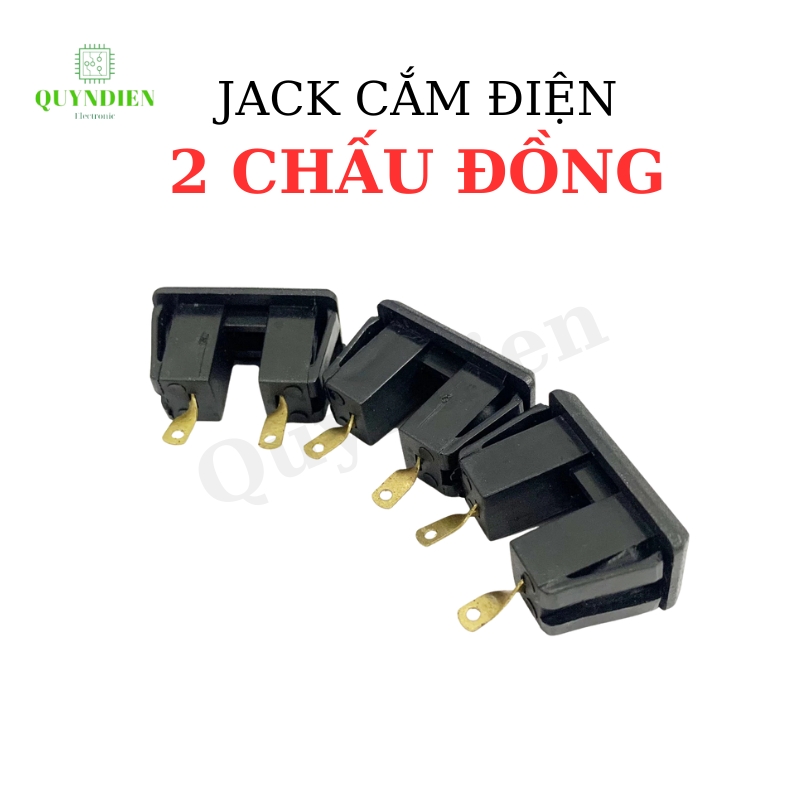 Ổ Cắm 2 Lỗ 2 Chấu Đồng Dùng Để Thiết Kế Ổ Cắm Chuyên Dụng Màu Đen